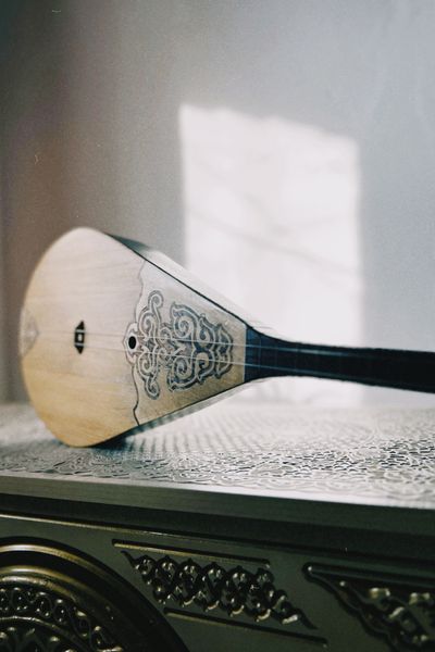 Dombra instruments