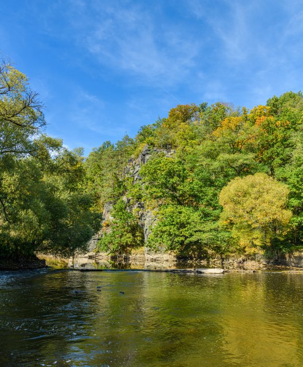 Cechia Rivers Scenic River View with Lush Greenery in Czechia · Free Stock Photo