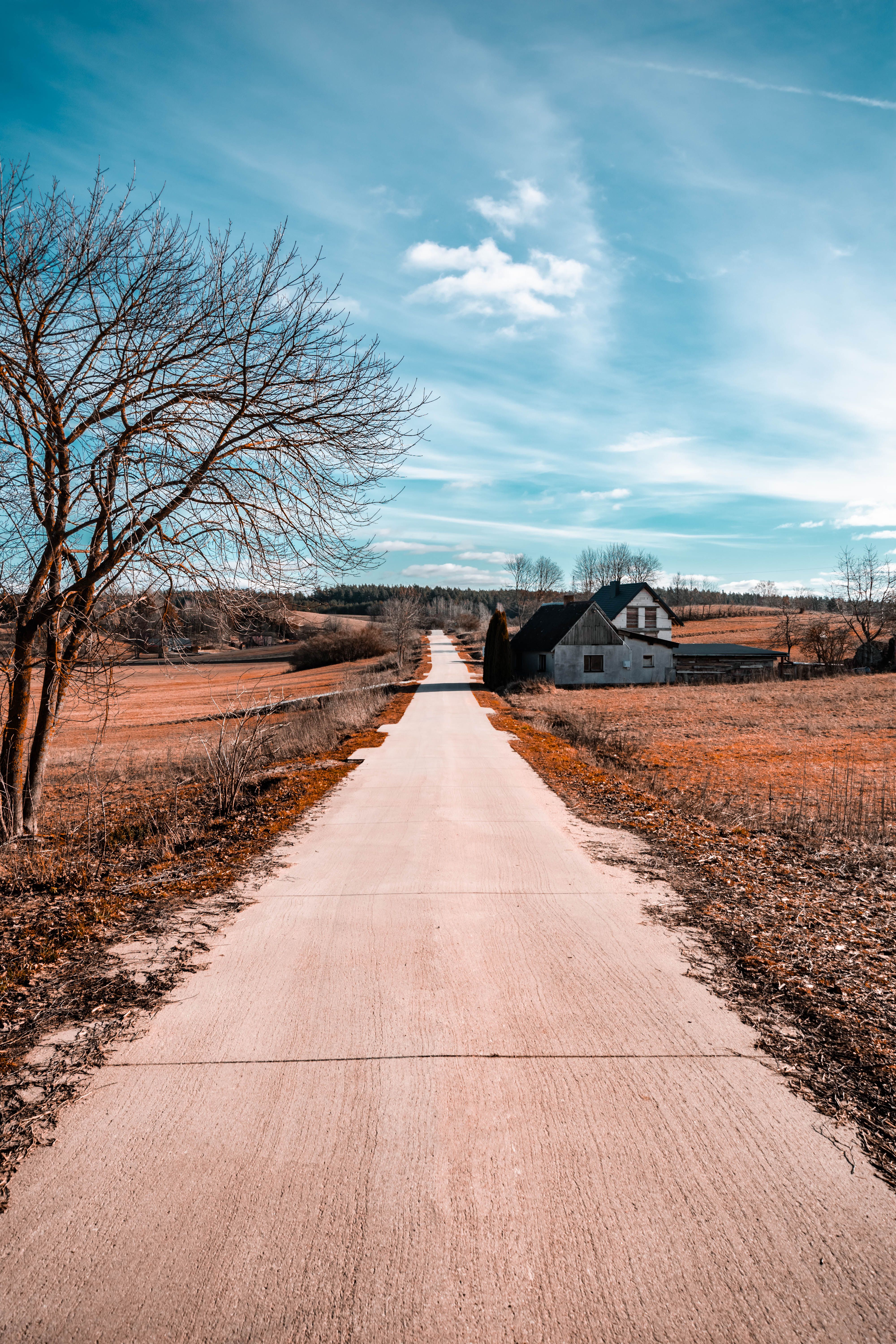 Rural Landscape with Road and Lone House · Free Stock Photo