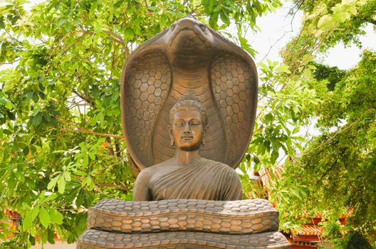 Buddha statue with a protective cobra against lush green foliage in a serene setting.