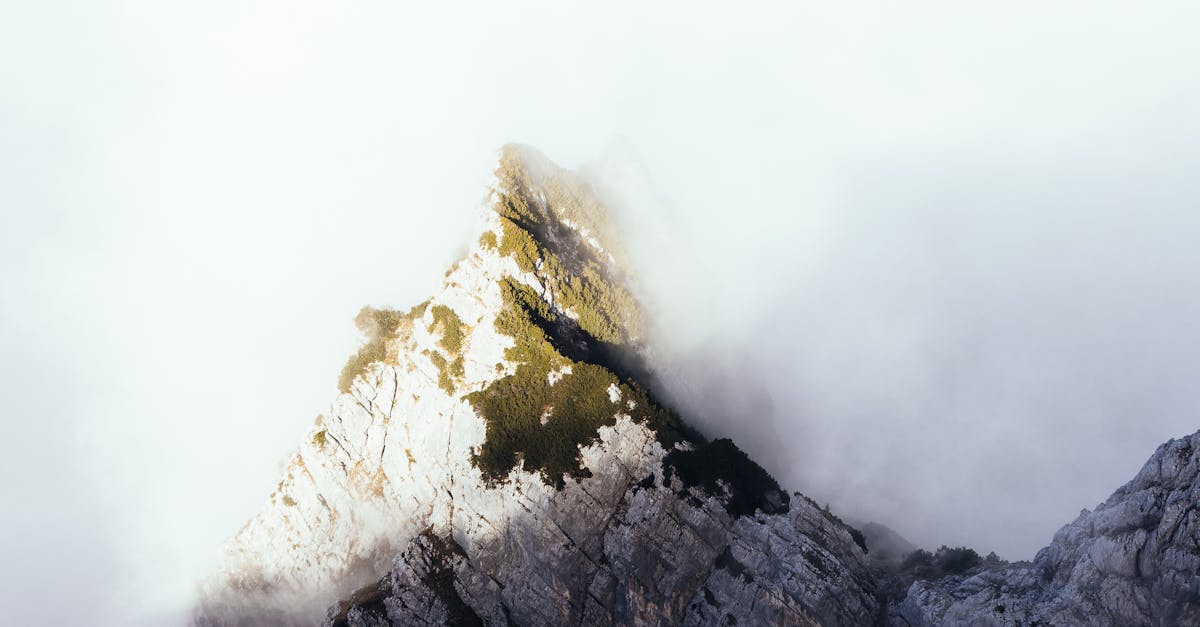 What does audacity mean in German