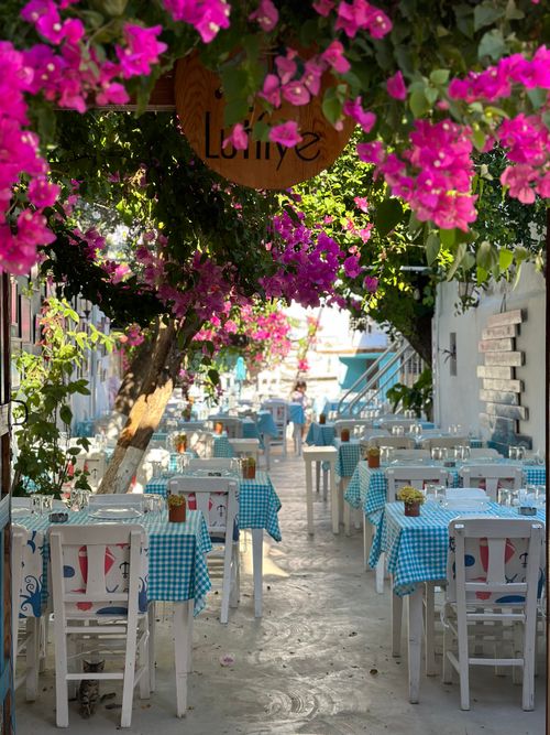 Free Picturesque outdoor café with vibrant bougainvillea in İzmir, Türkiye. Stock Photo
