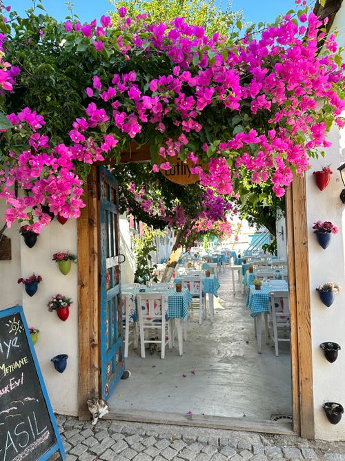 Free Mediterranean café entrance adorned with vibrant pink blooms and cozy seating. Stock Photo