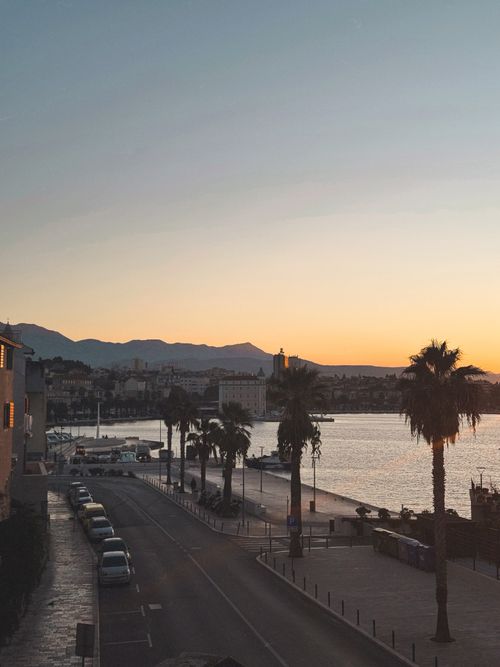 Free Beautiful coastal sunrise with palm trees and harbor view, peaceful ambiance. Stock Photo