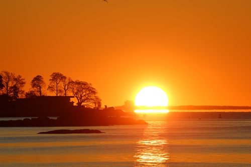 Free Breathtaking sunrise over Cove Island Park in Stamford, Connecticut with autumn colors. Stock Photo