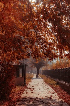 Tranquil autumn pathway covered with fallen leaves under vibrant orange and red foliage.