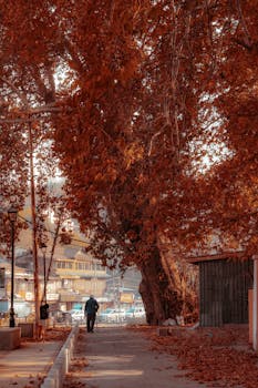 A serene autumn pathway lined with vibrant foliage in a small town setting.
