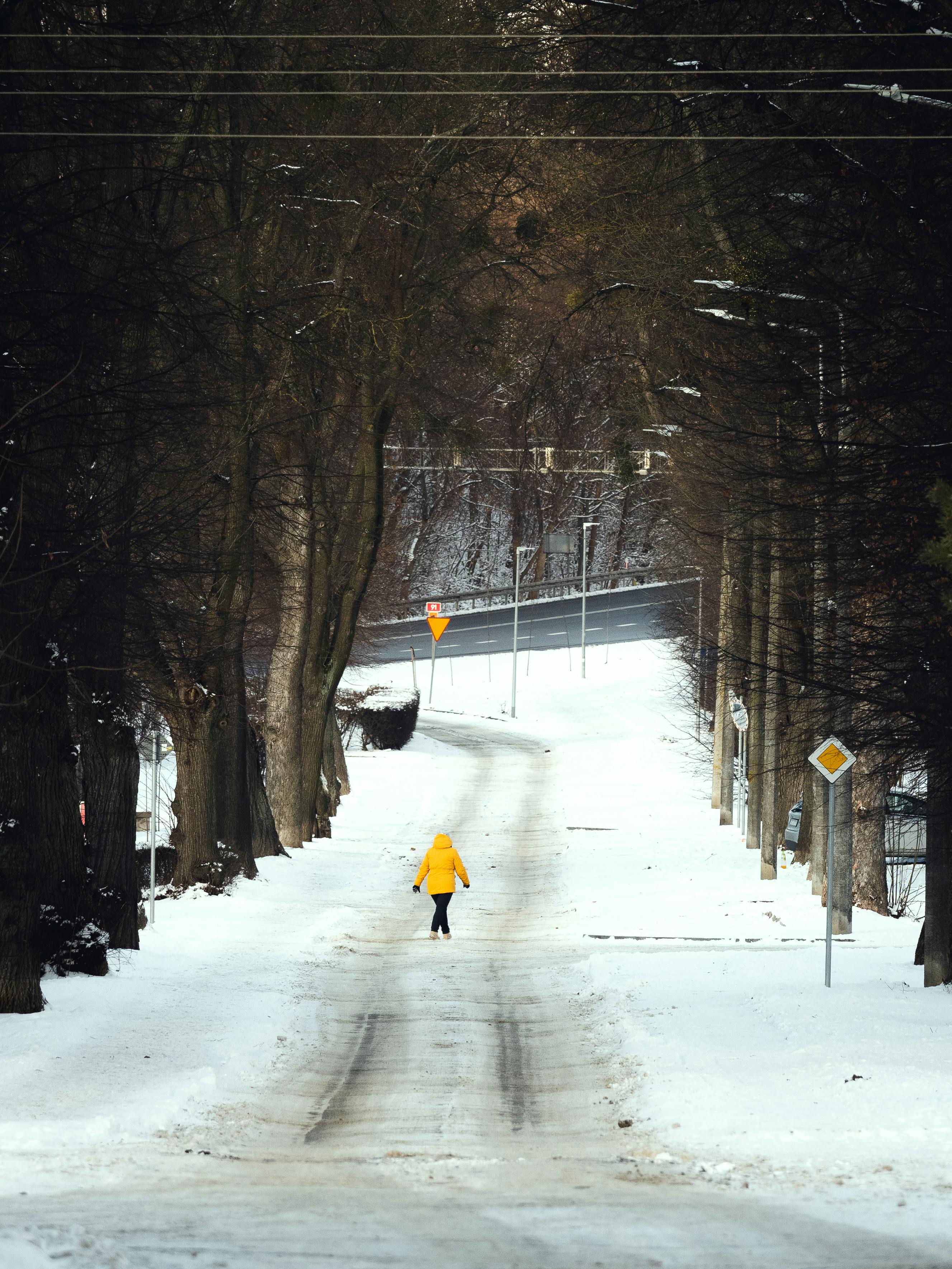 Person in yellow jacket walking along a snowy road surrounded by trees in Gniew, Poland.