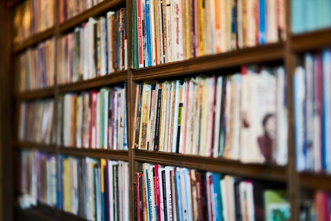 Free Assorted Books on Wooden Shelf Stock Photo