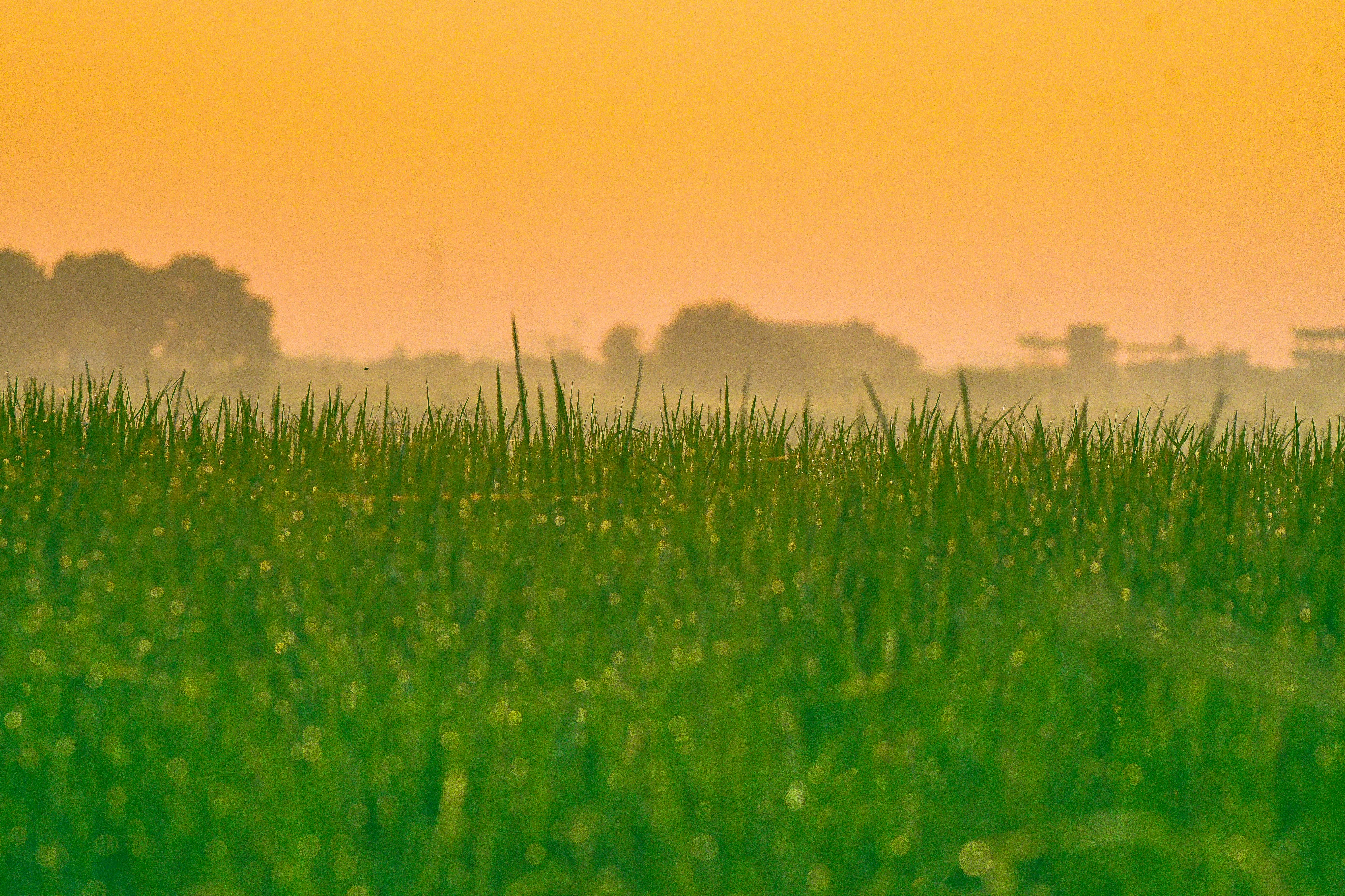 sejarah-telangana-photos-download-the-best-free-sejarah-telangana