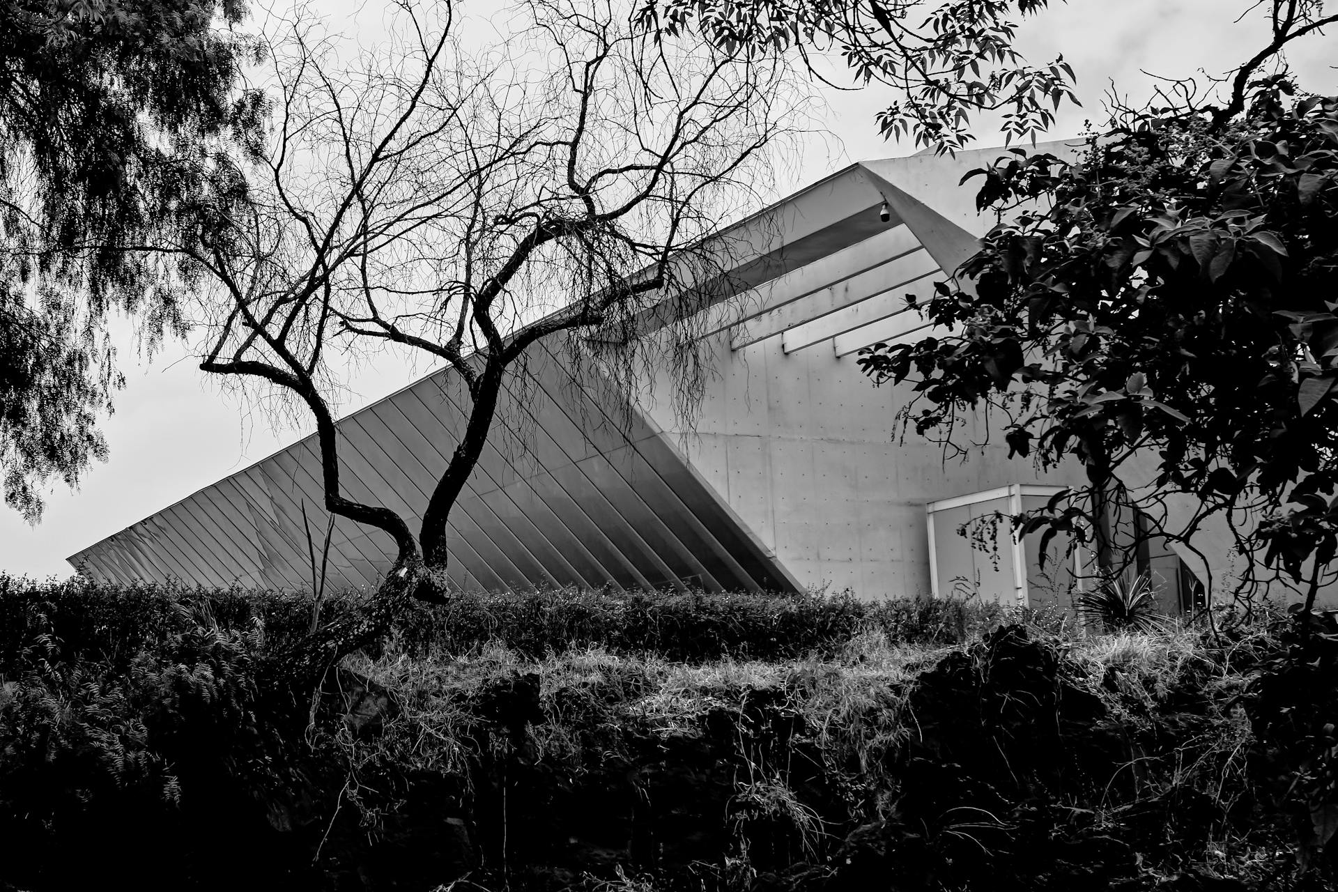 Black and white image of a modern architectural structure surrounded by trees.