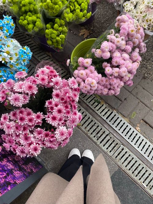 Free Vibrant flowers arranged in pots on a city sidewalk from an overhead view. Stock Photo