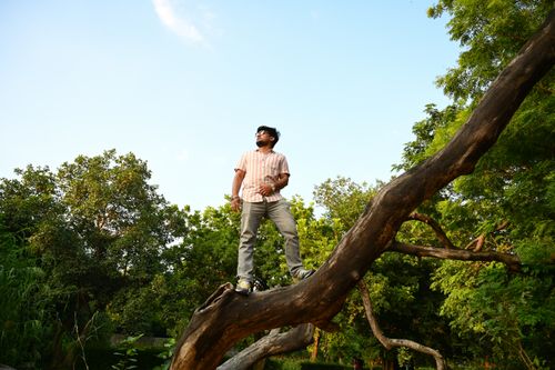 Free A man confidently stands on a tree branch surrounded by lush greenery in New Delhi, India. Stock Photo