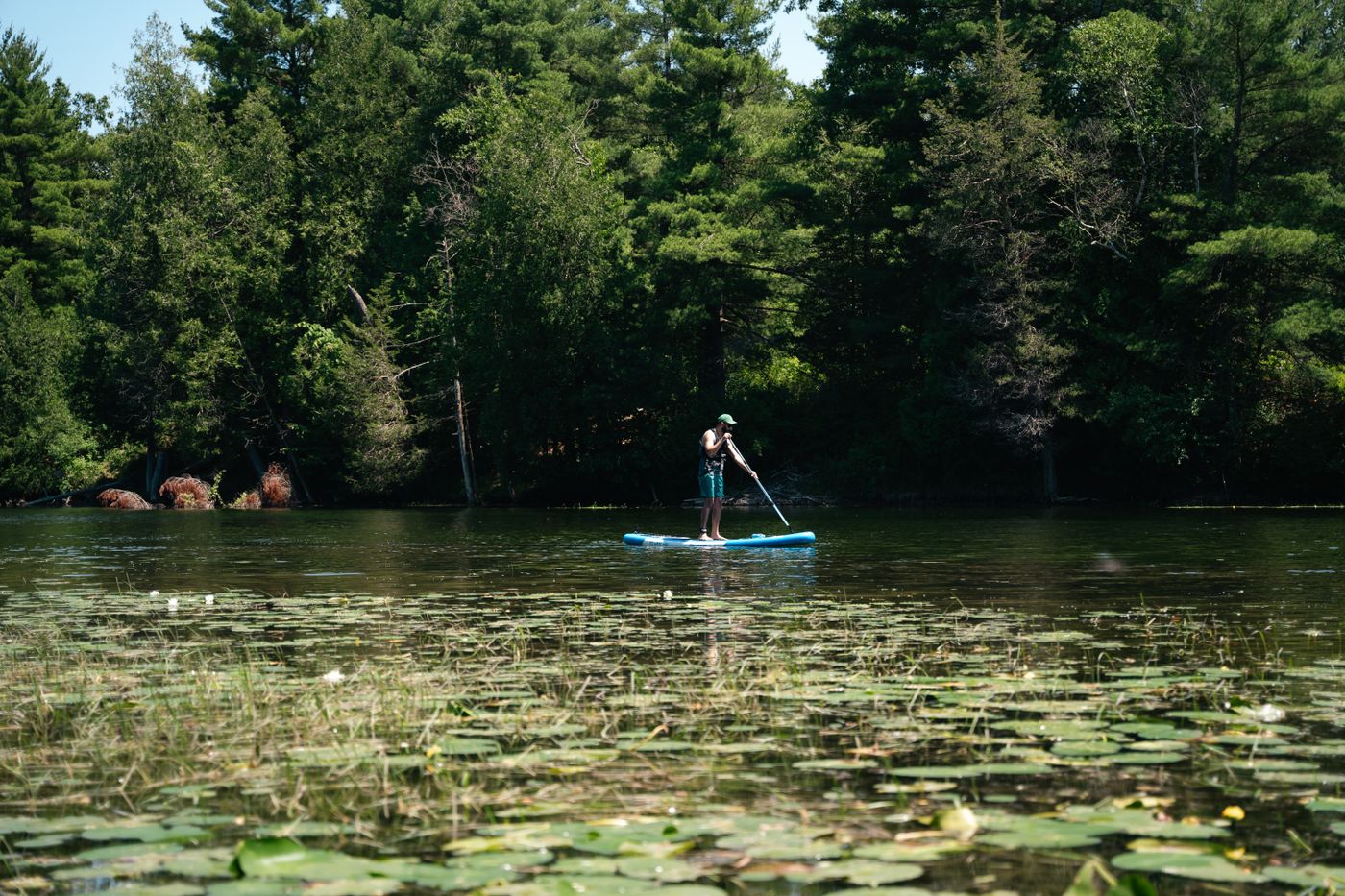 Paddleboarder moving across a peaceful forest lake