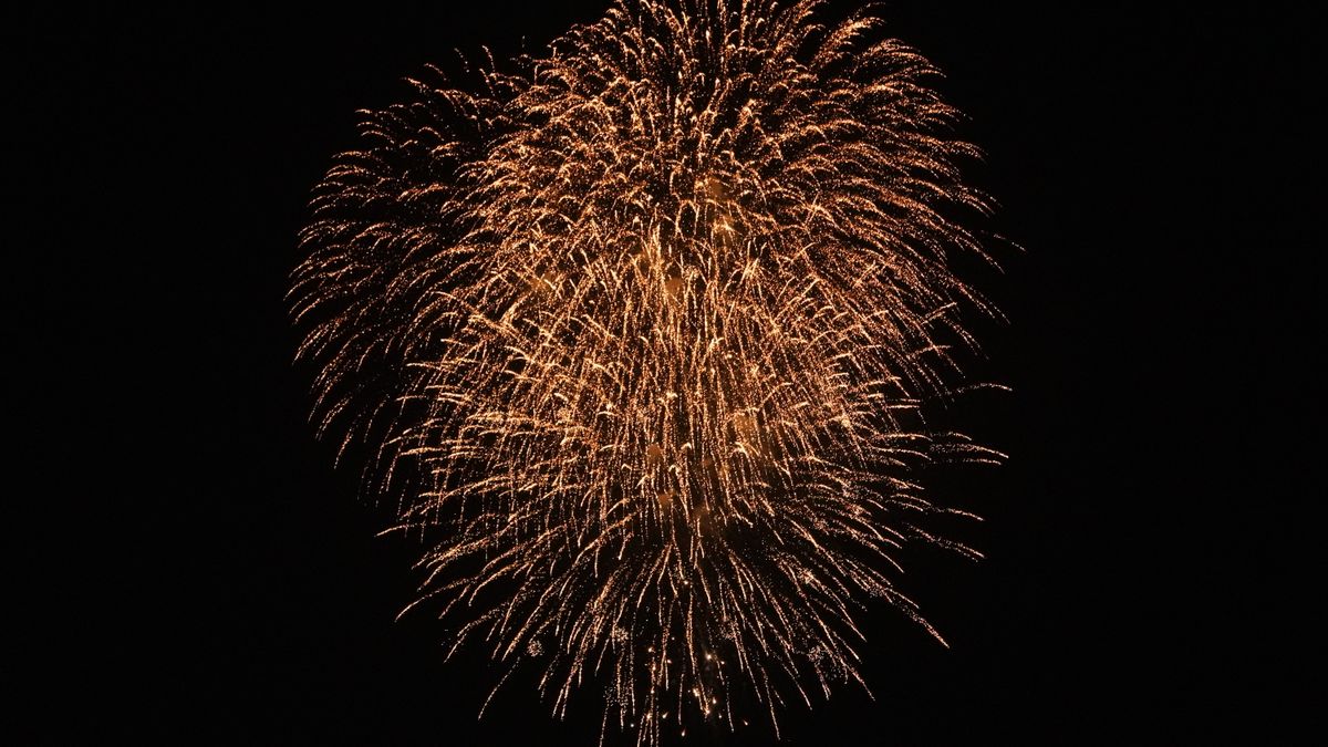 夜空に広がる金色の花火