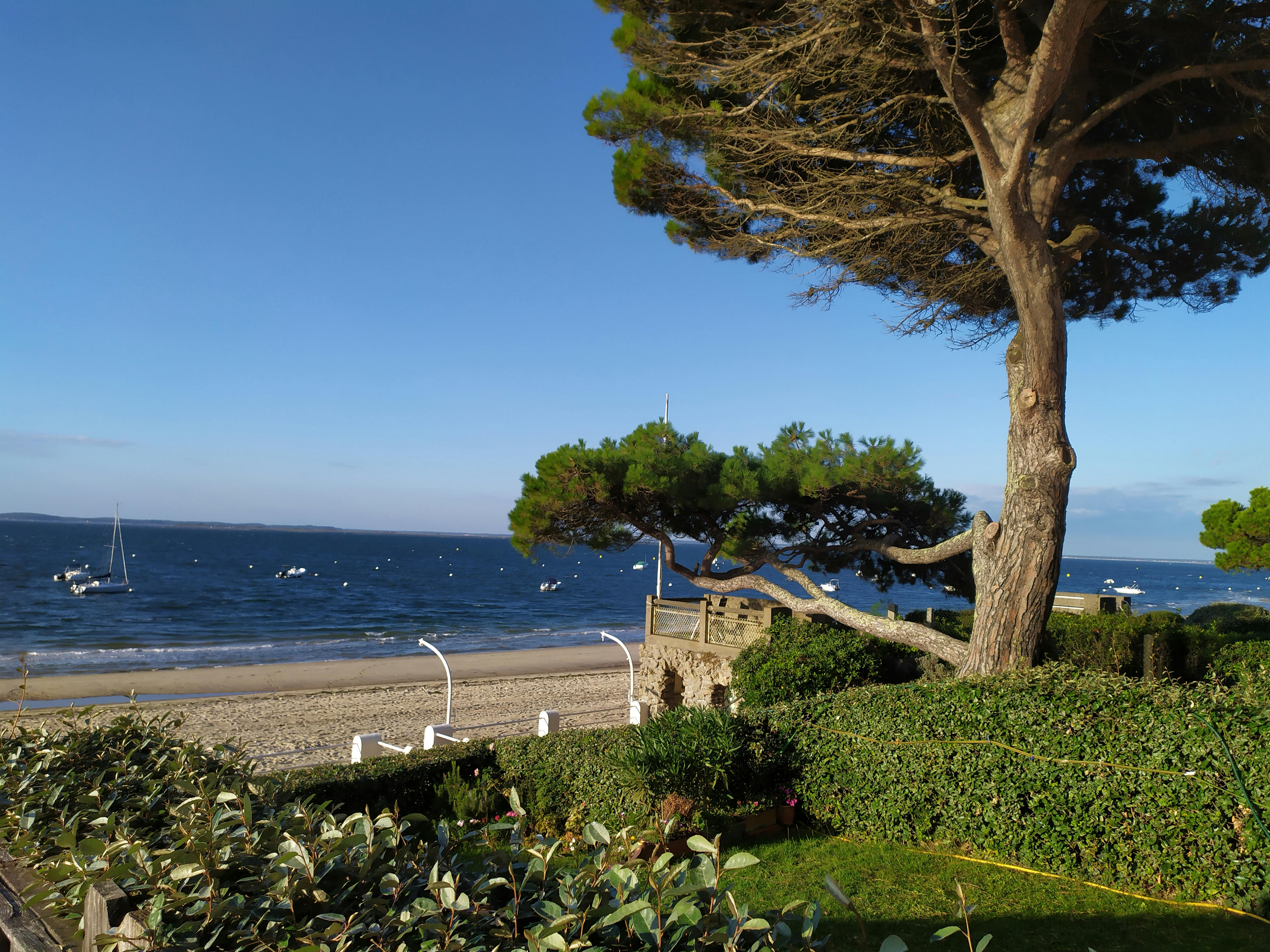 Managing blood sugar