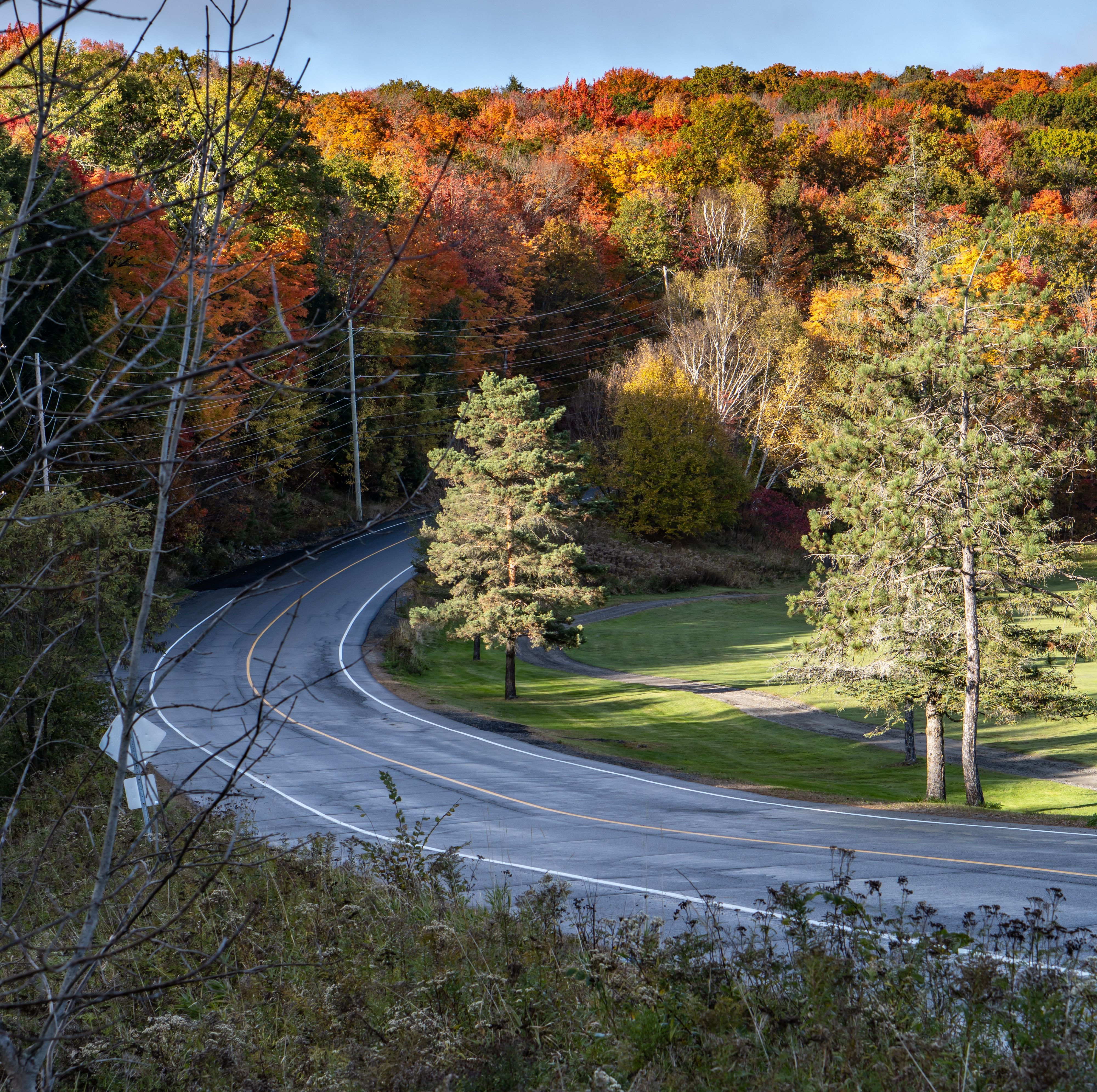 Scenic Autumn Road in Ontario with Vibrant Foliage · Free Stock Photo