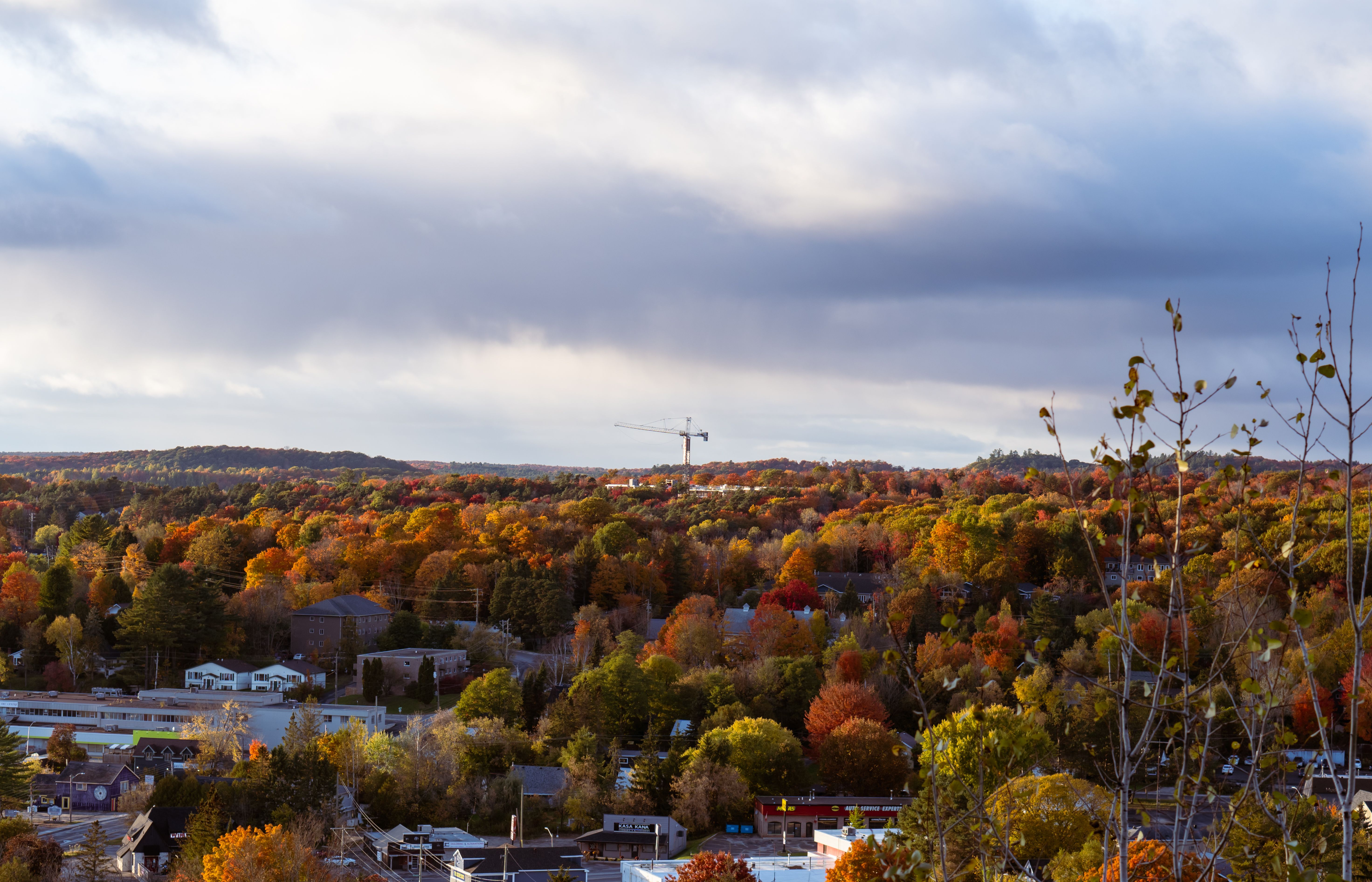 Algonquin