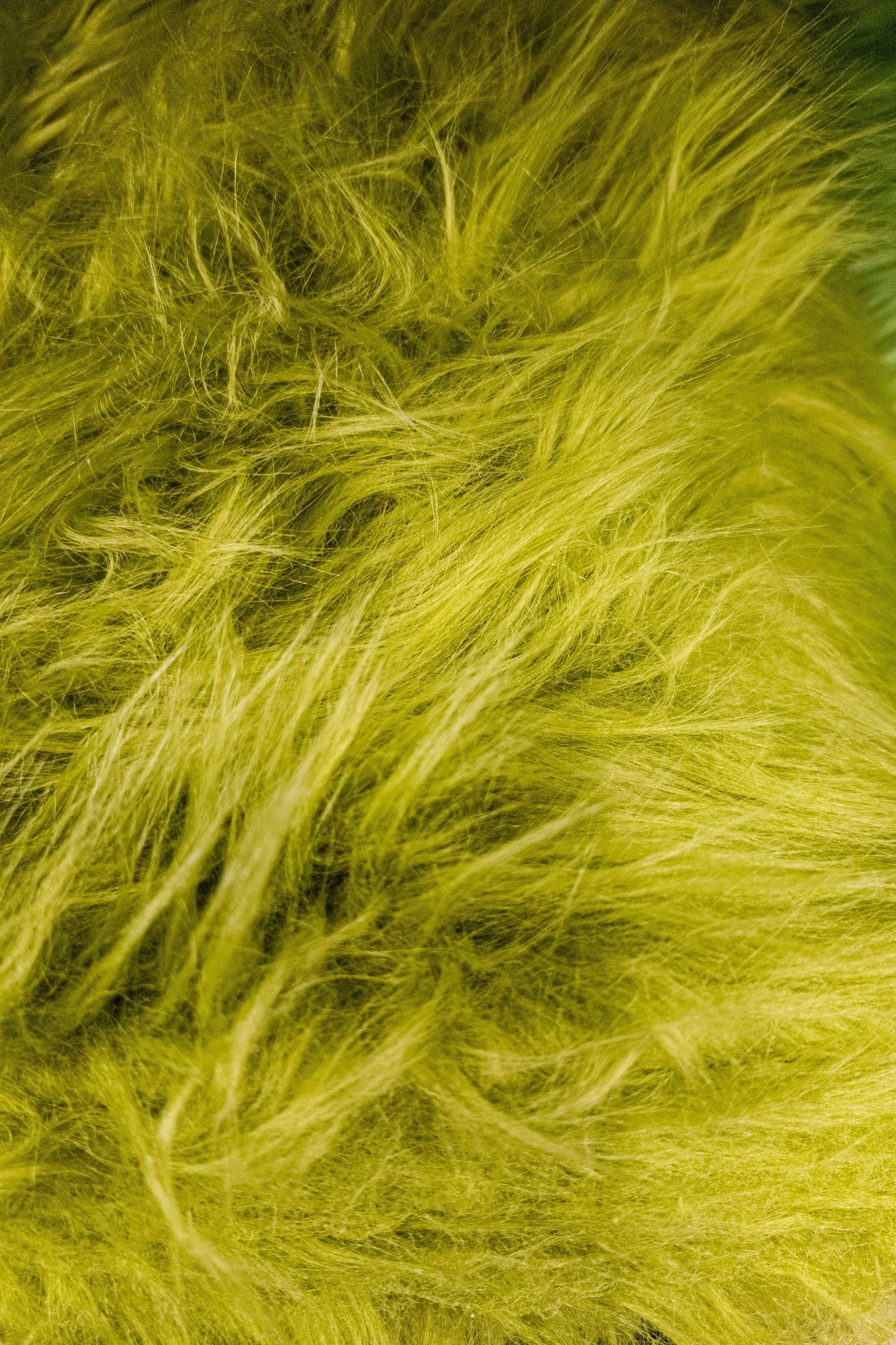 Close-up of a woman's hands holding a swatch of luxuriously soft faux fur, highlighting texture and color.