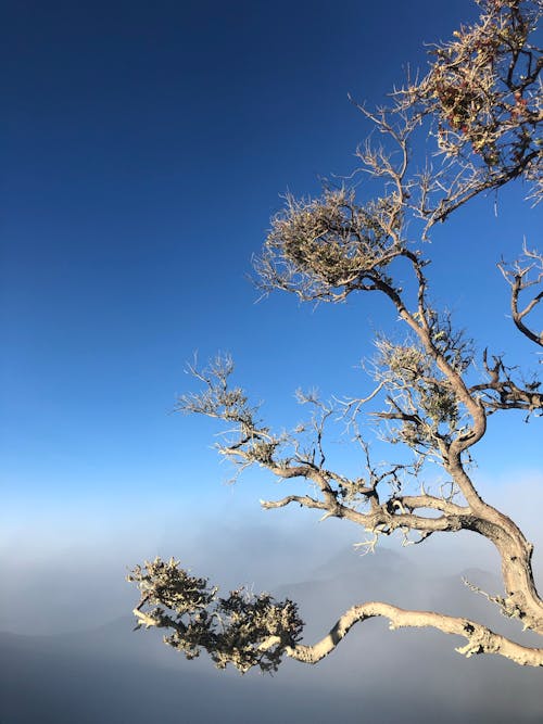 Free stock photo of cloudy