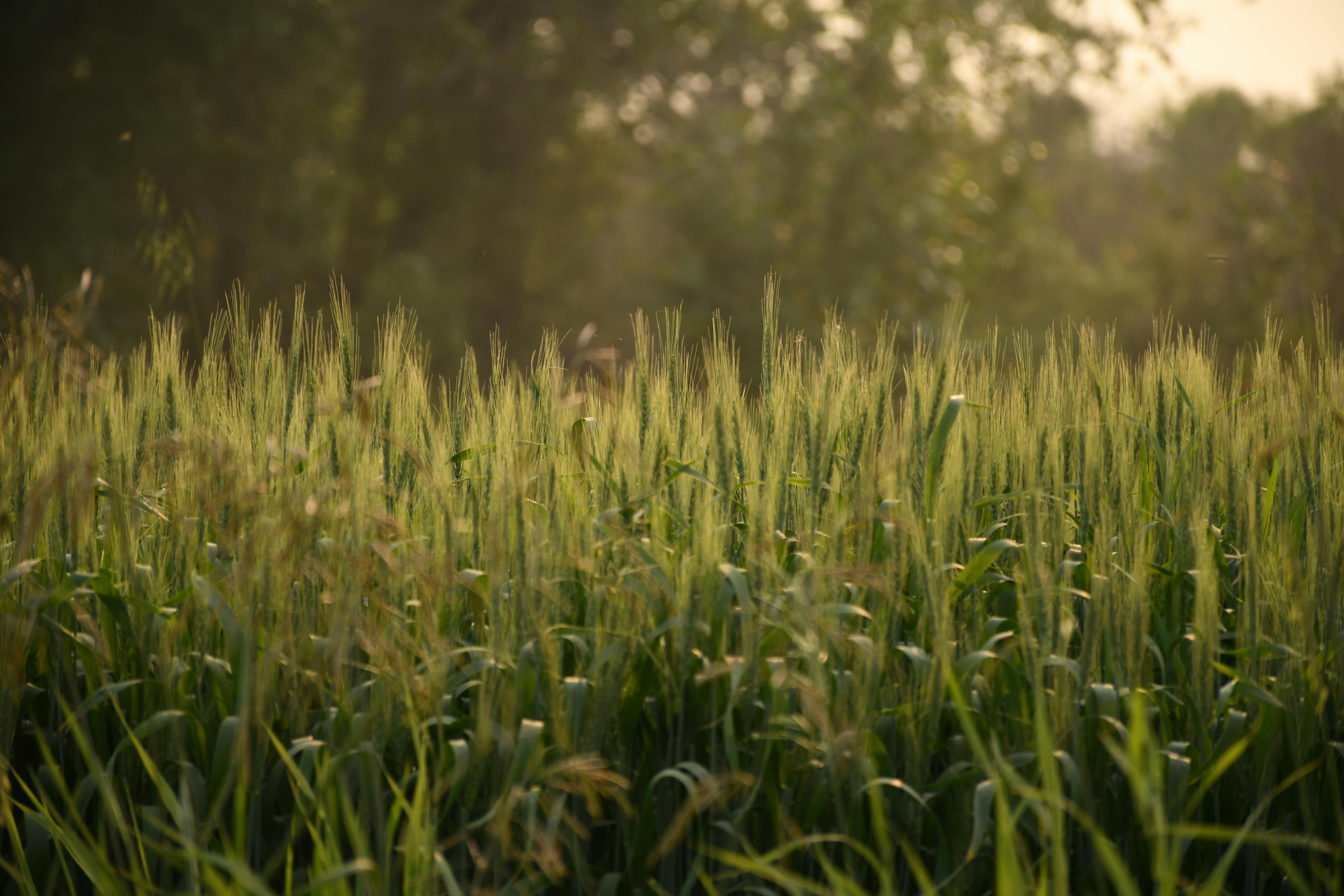 Prairie Fare: Smart and quick food safety during a refrigerator power outage - farmforum.net — Photo by Sunny Disposition Pro