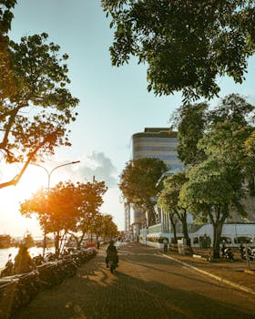 Scenic urban street with trees and buildings at sunset, capturing a serene city vibe.