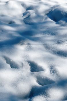 Close-up of pristine snow in Talgar, Kazakhstan, capturing a serene winter landscape.