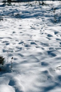 Serene snow-covered terrain in Talgar, Almaty Region, showcasing untouched winter beauty.