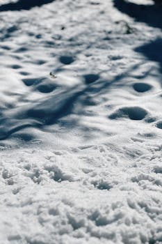 Serene winter scene of untouched snow creating a peaceful ambiance in Talgar, Almaty Region.