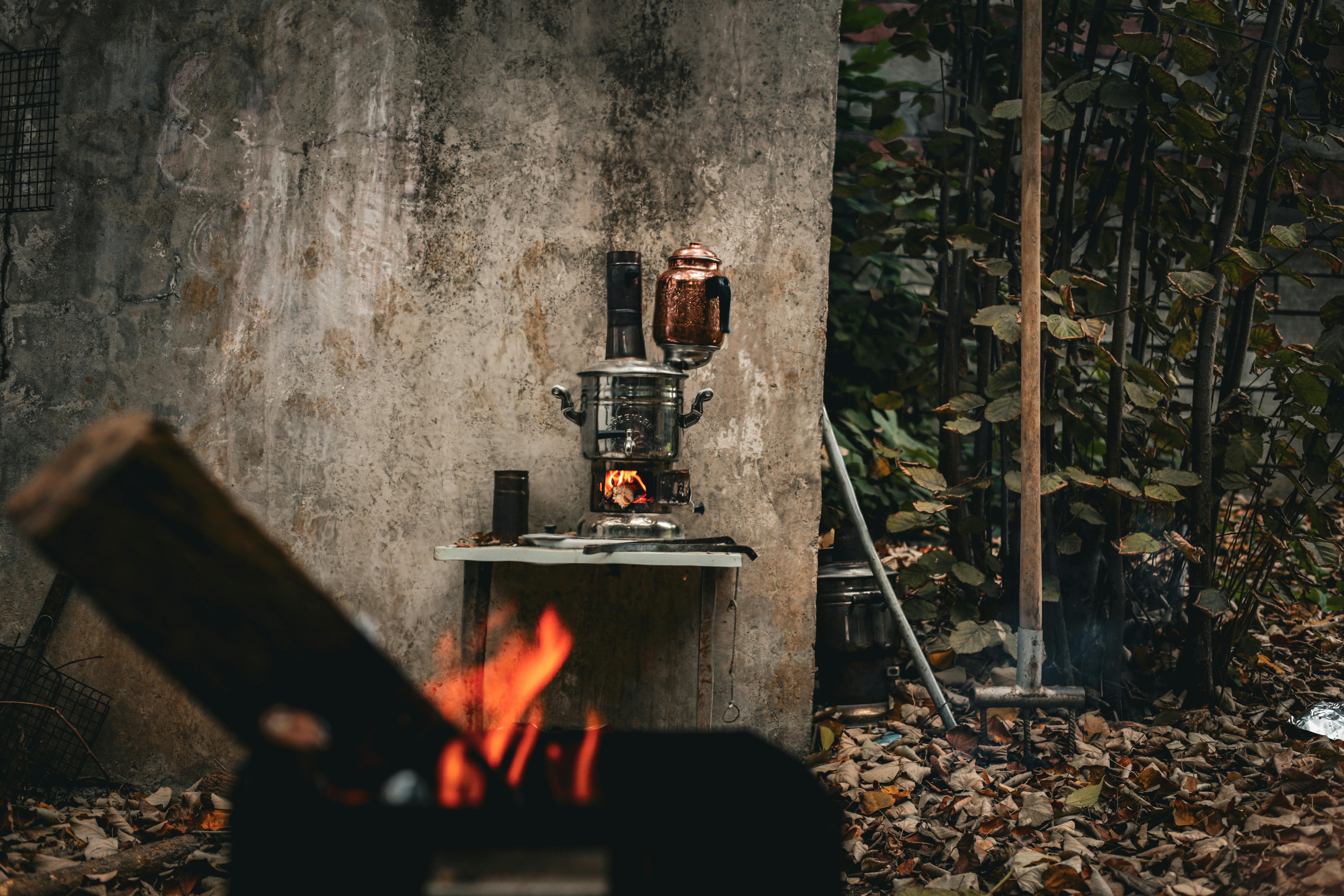Exploring the Mystical Art of Tea Ceremonies