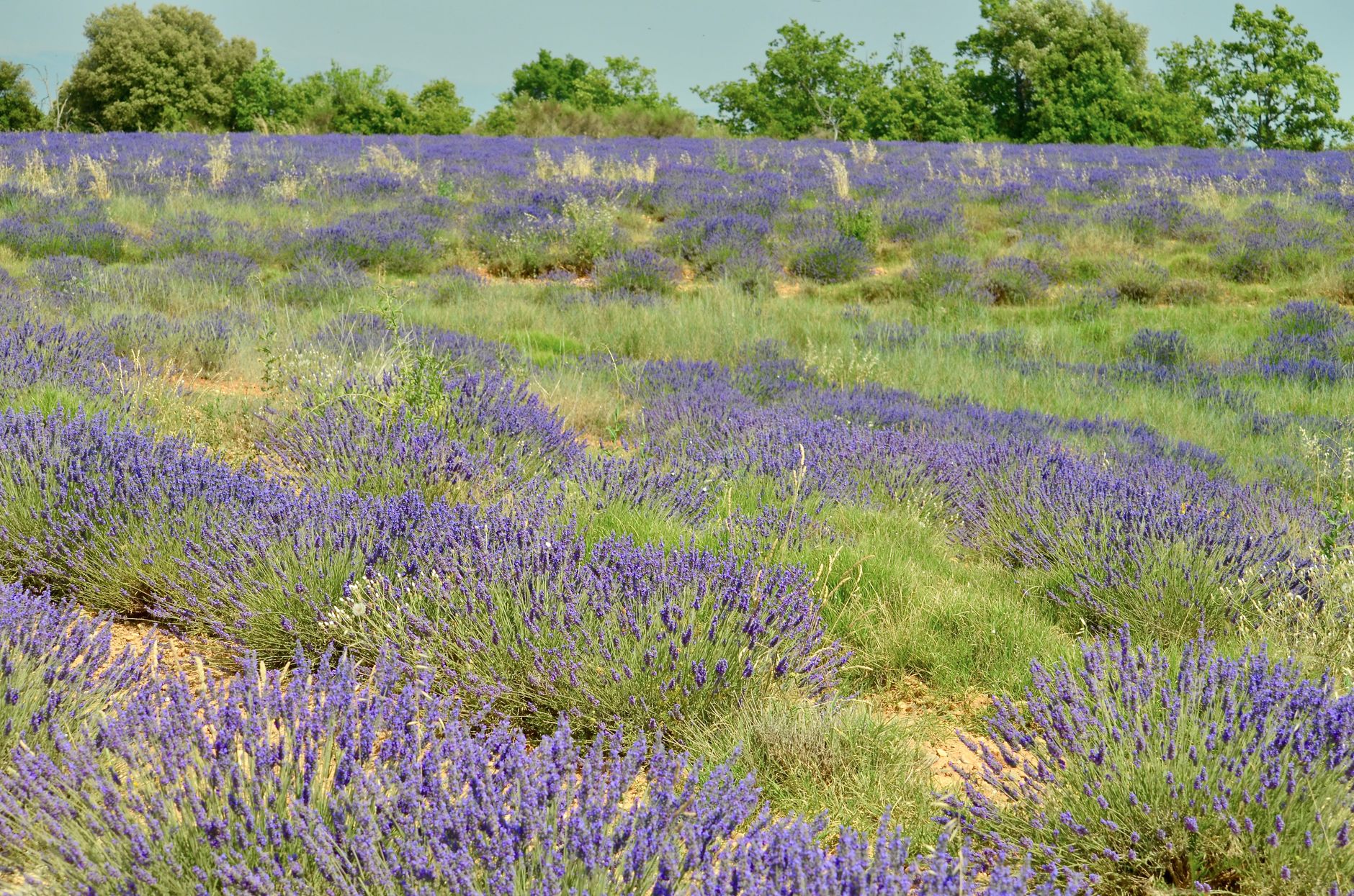 Provence, France