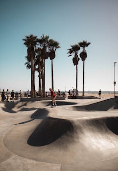A skateboarder at Venice Beach Skate Park on a sunny day with palm trees and ocean view.