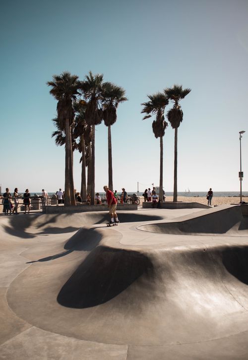 Free A skateboarder at Venice Beach Skate Park on a sunny day with palm trees and ocean view. Stock Photo