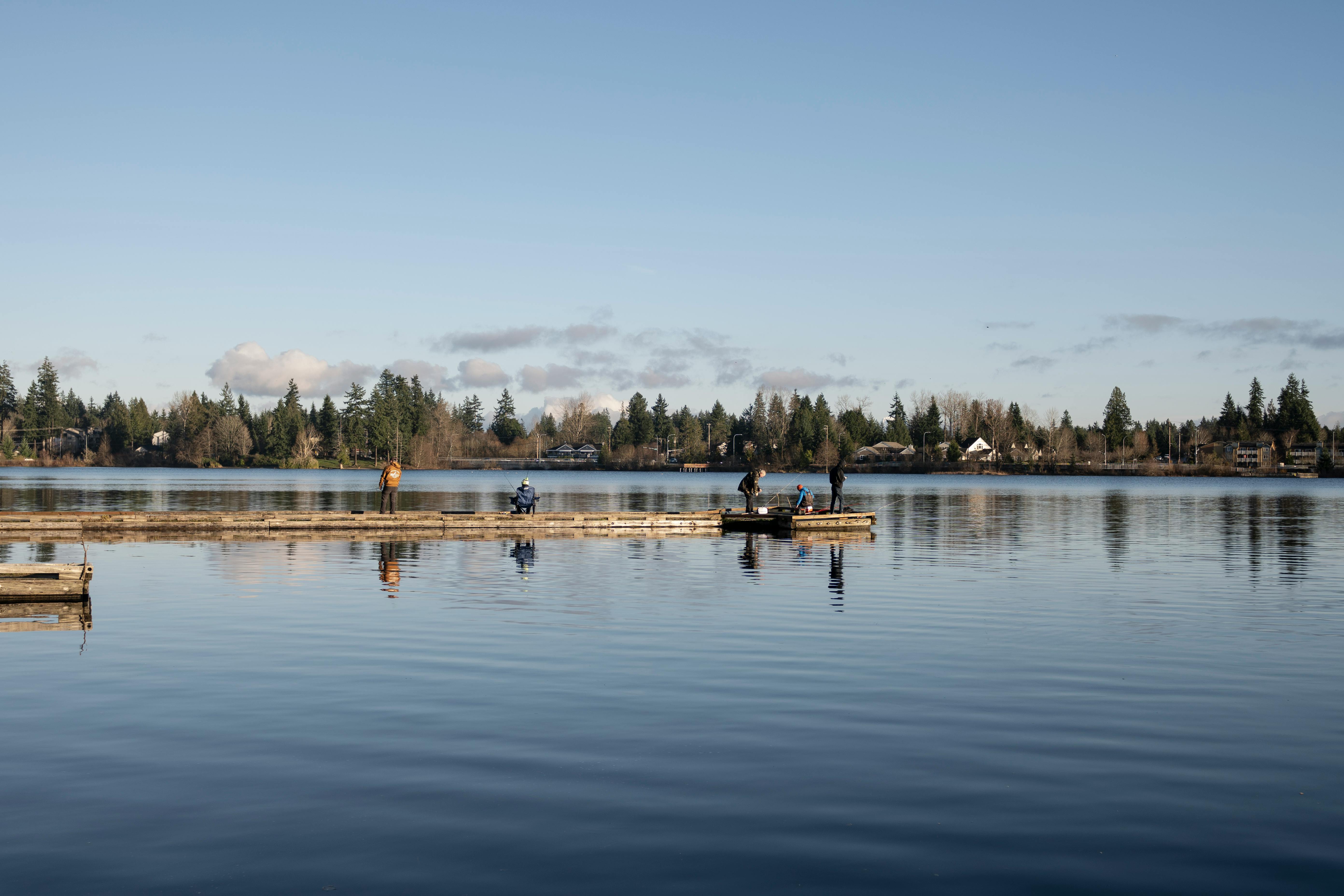 Lifestyle Lookout: Bellingham Improv Festival, exotic pets at the fairgrounds, holiday events and more in Whatcom County — Ph