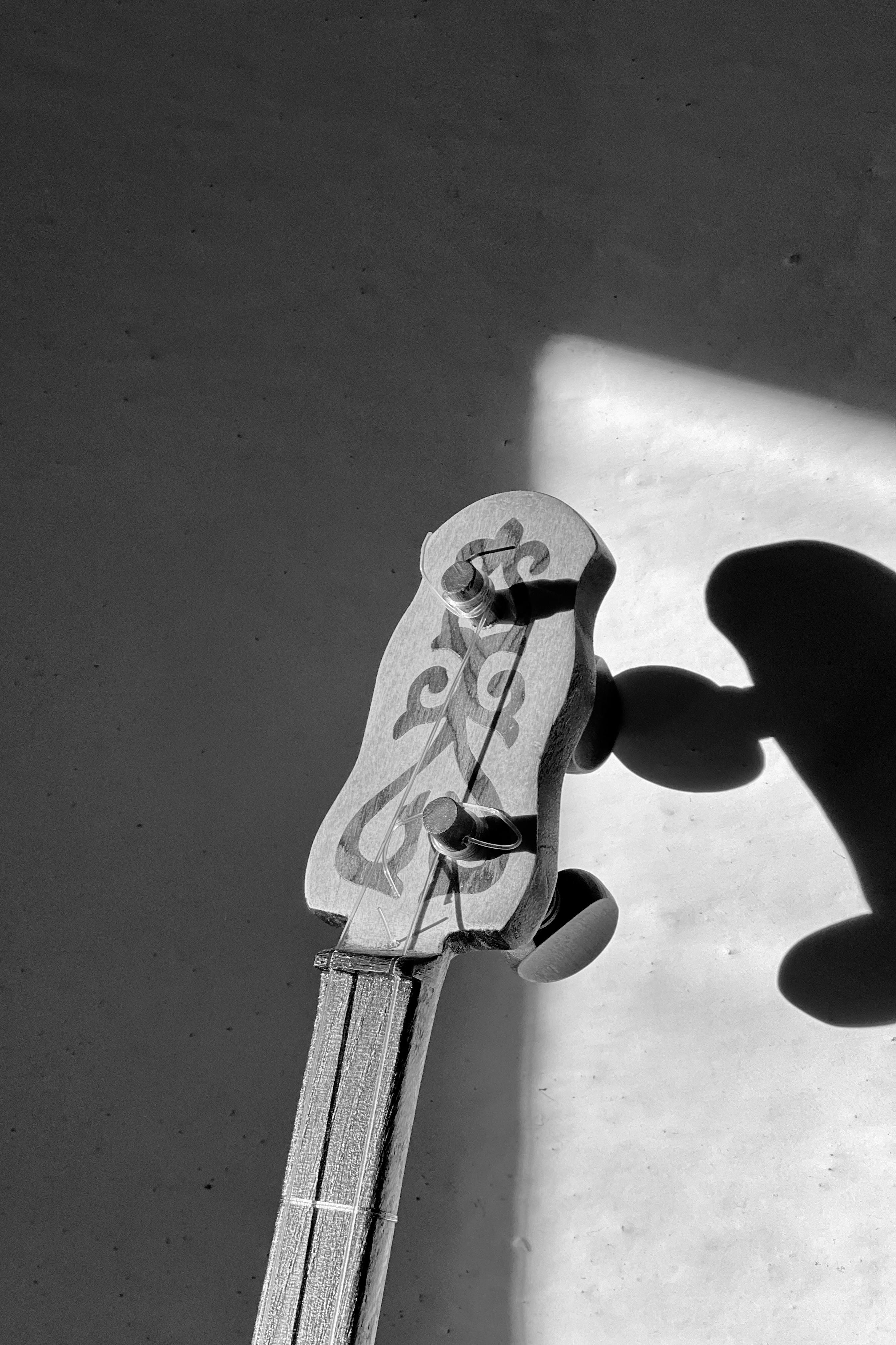 Zadarmo Detail dombyry v čiernej a bielej farbe, ktorá vrhá tieň na stenu. Fotka z fotobanky