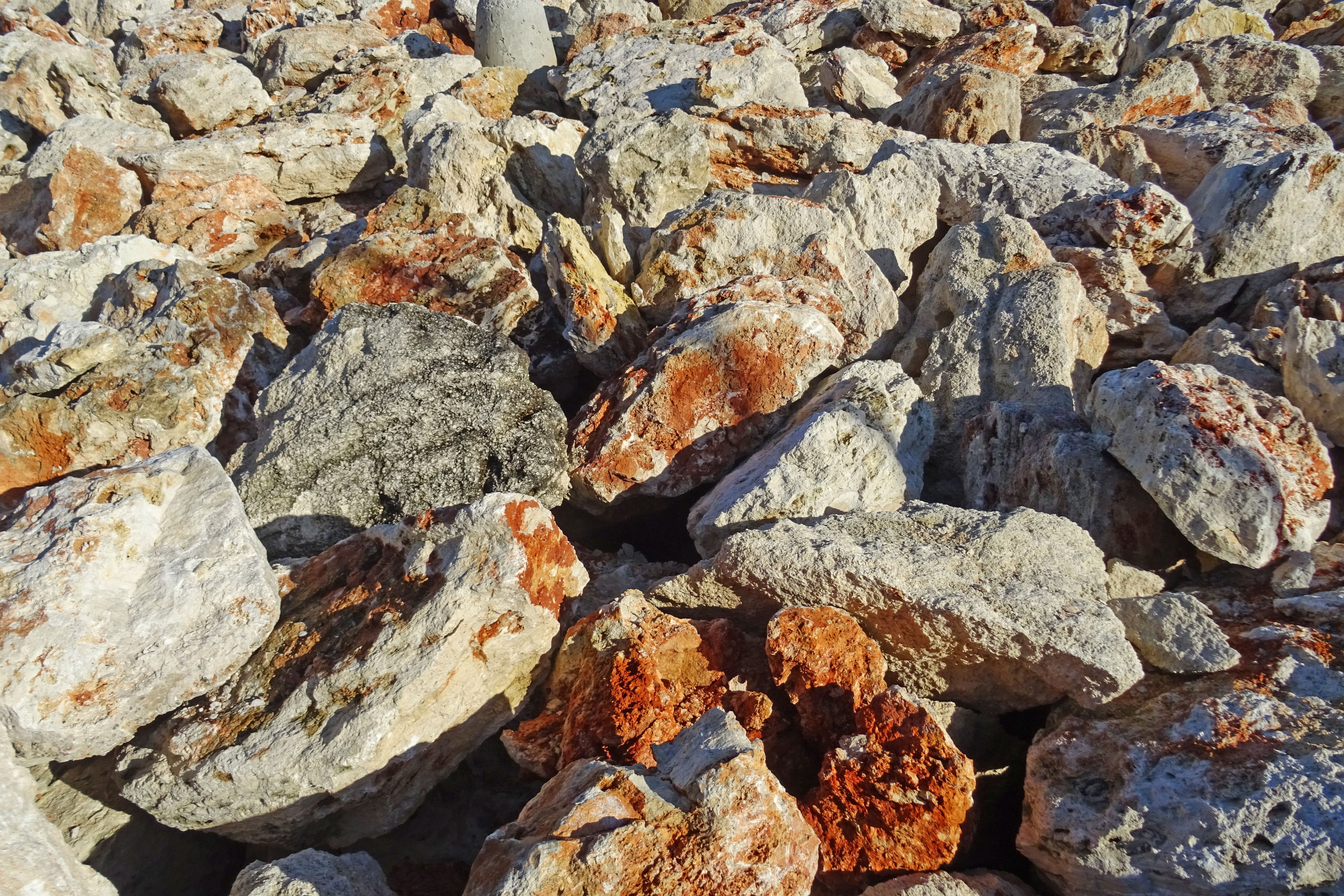 Close-up View of Natural Rocky Surface Textures · Free Stock Photo