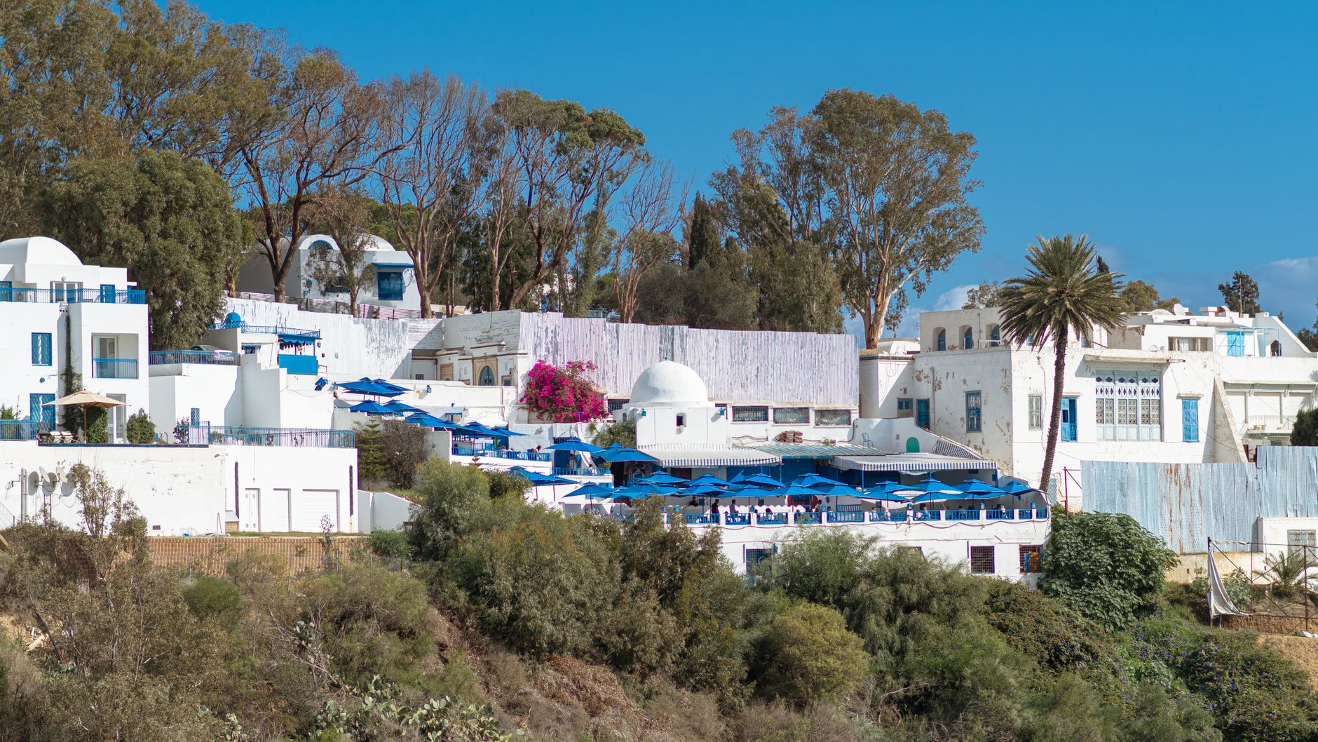Ennejma Ezzahra (Palace of Baron d'Erlanger)