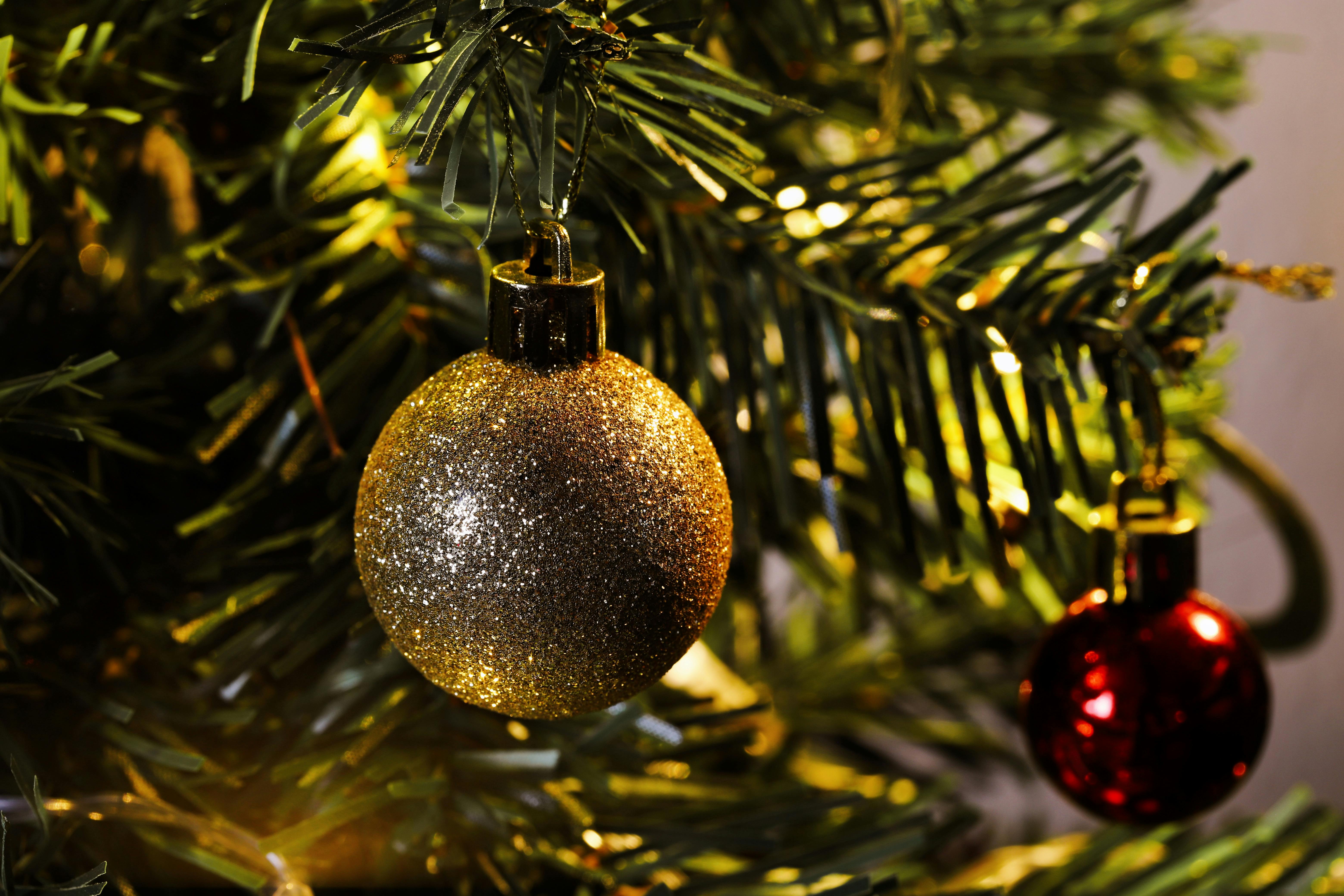 Gratis Primo piano di palline di Natale dorate e rosse appese a un ramo di abete. Foto a disposizione