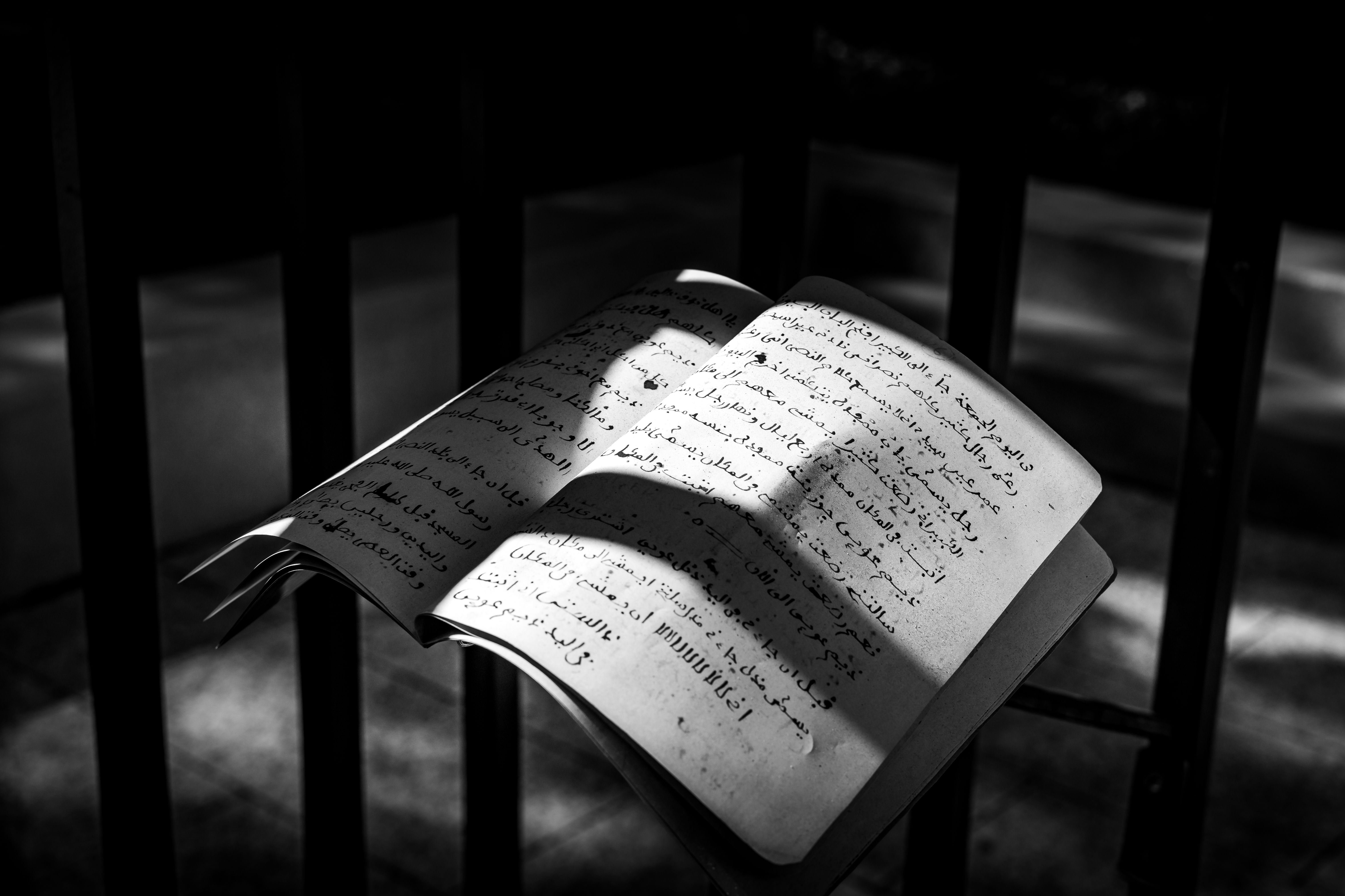 هايتي - عائلات نازحة بسبب العنف العصابي