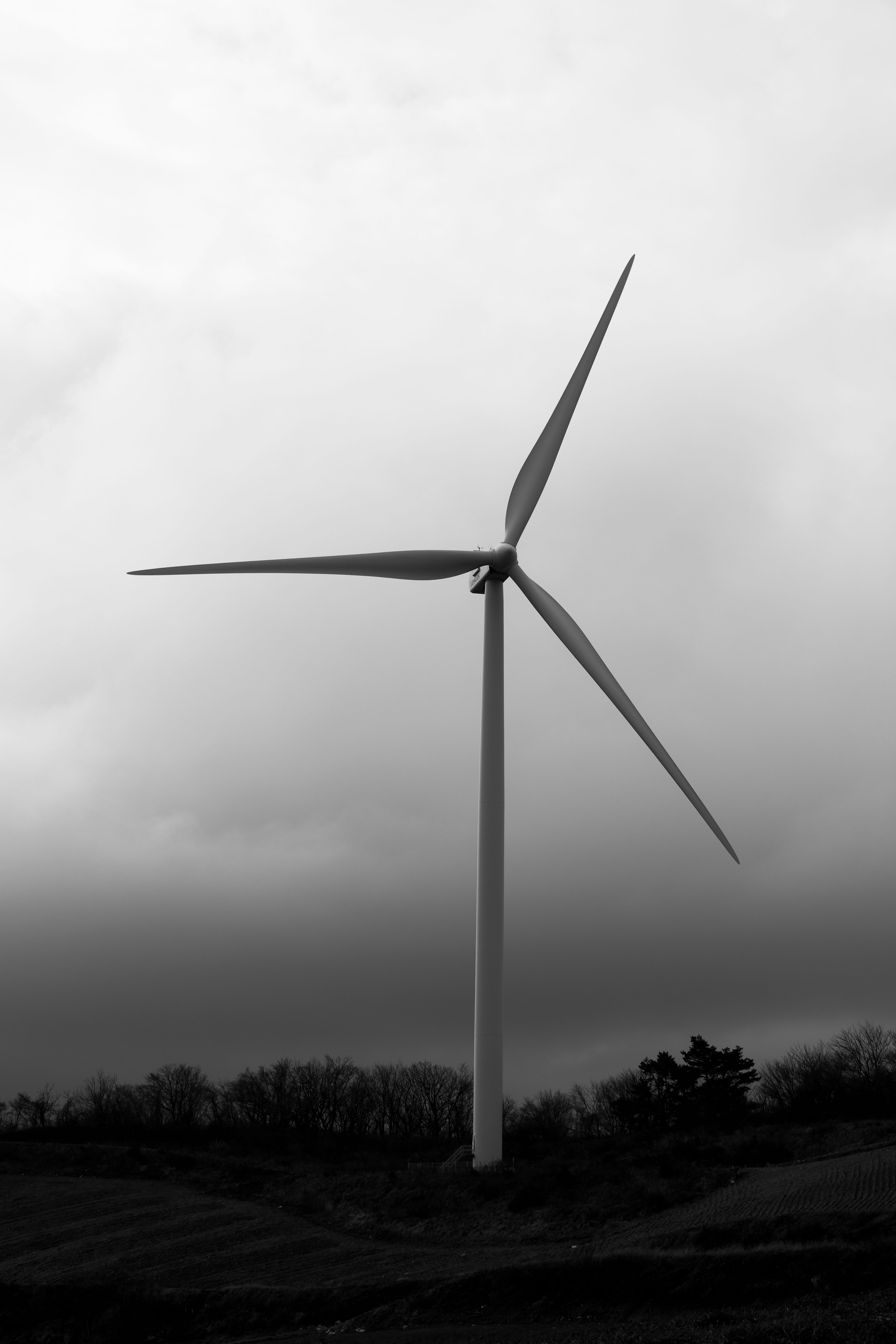 Estonia: Stargate Hydrogen launches cost-effective green hydrogen electrode technology