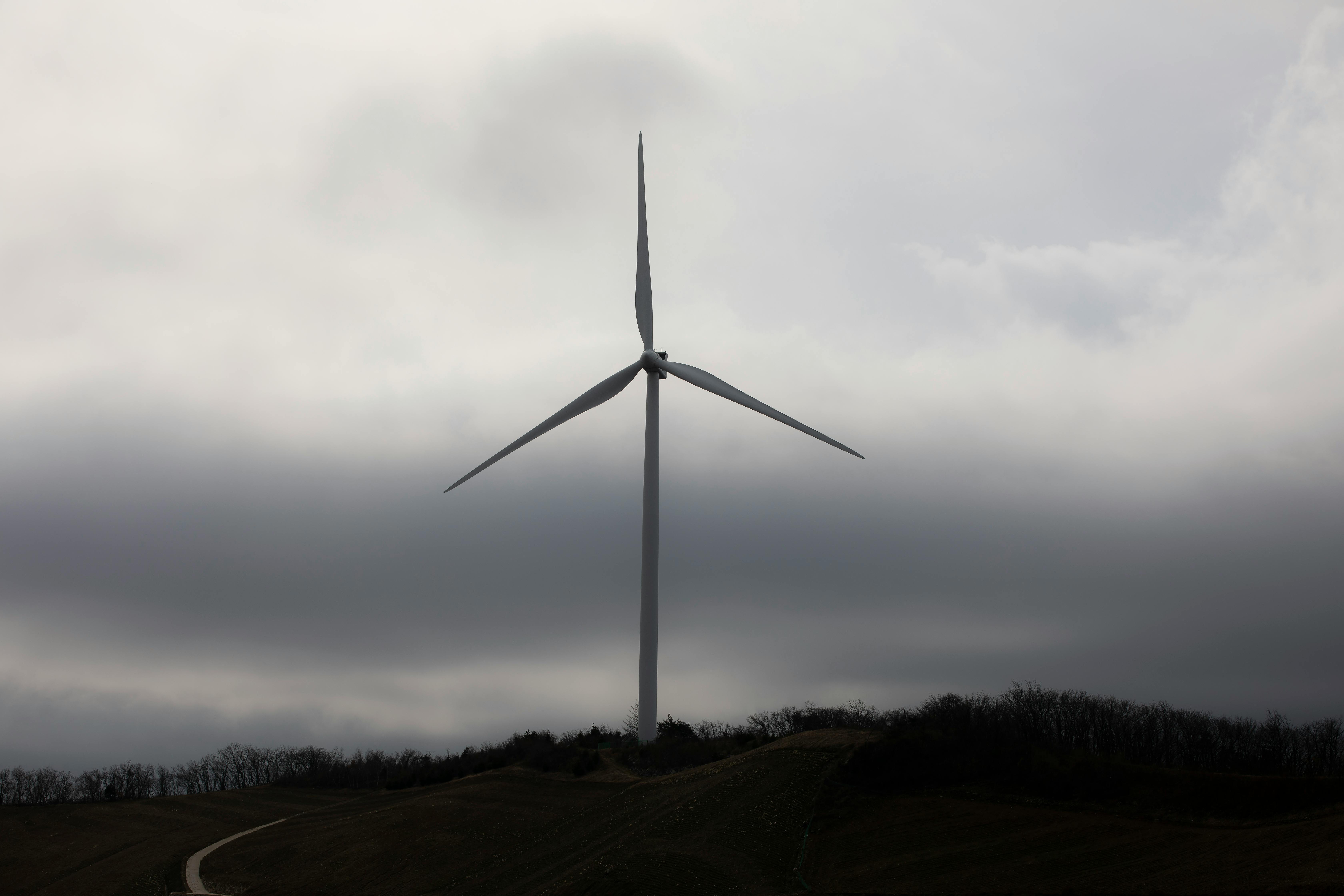 There is nothing new about renewable energy: Tracing the life of solar panels — Photo by 정규송 Nui MALAMA on Pexels