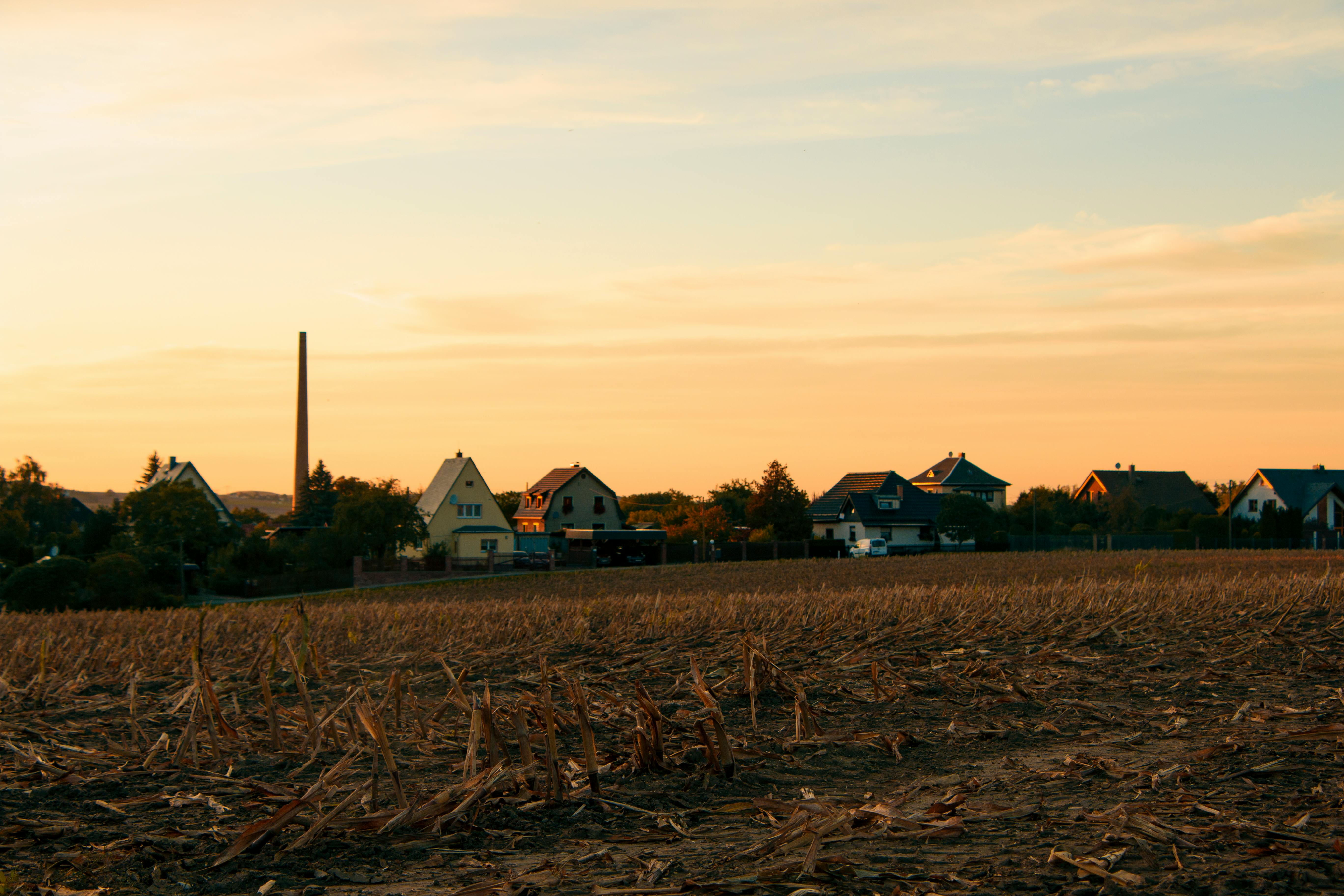 Difference Between Full Chisel And Semi Chisel Chain Difference