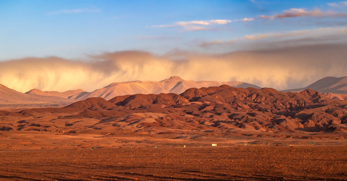 Vida en los desiertos y ambientes extremos: 8 ejemplos de evolución y adaptación Vida en los desiertos y ambientes extremos: 8 ejemplos de evolución y adaptación