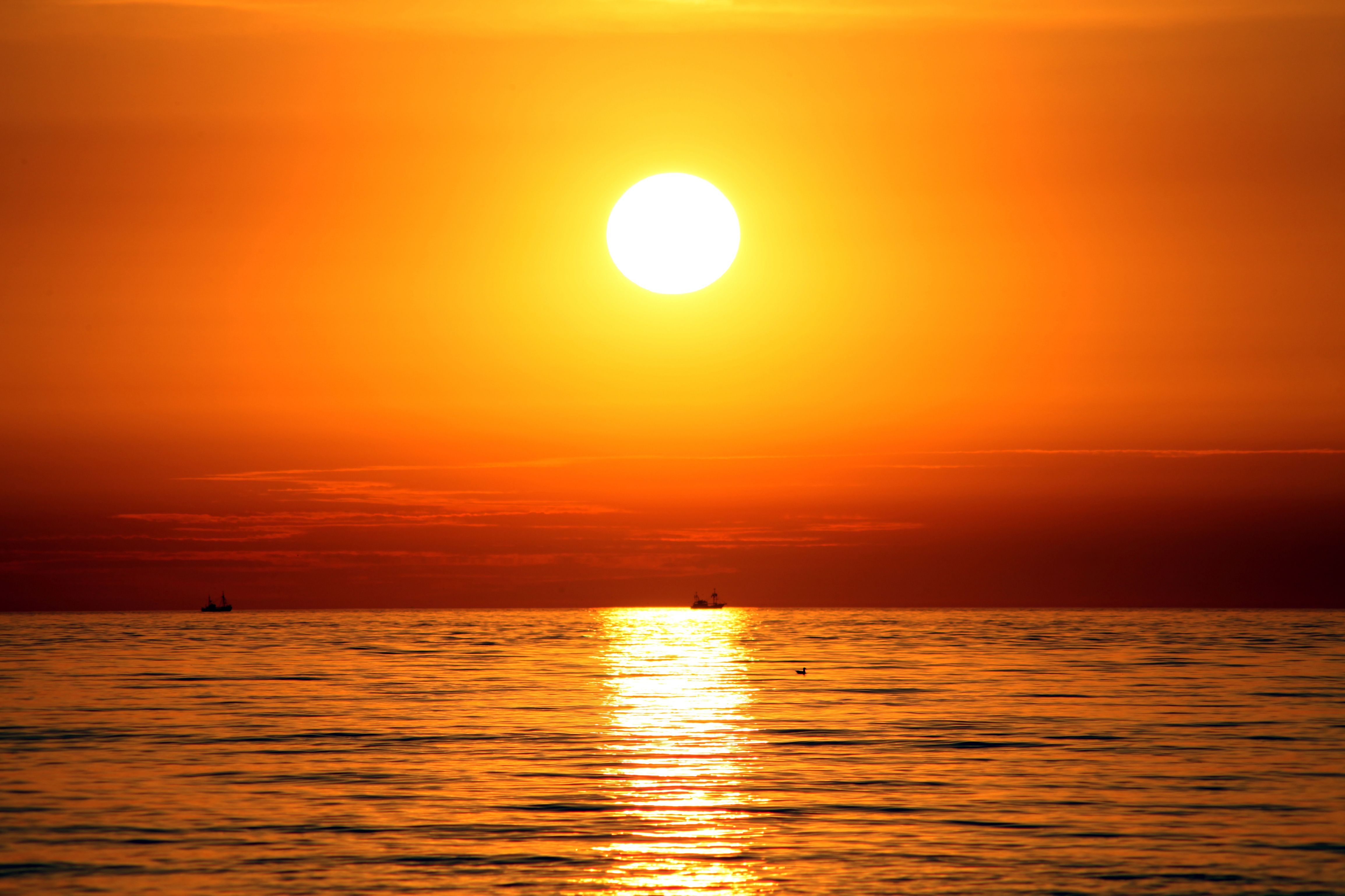 Foto: Karsten Sporenberg / Pexels