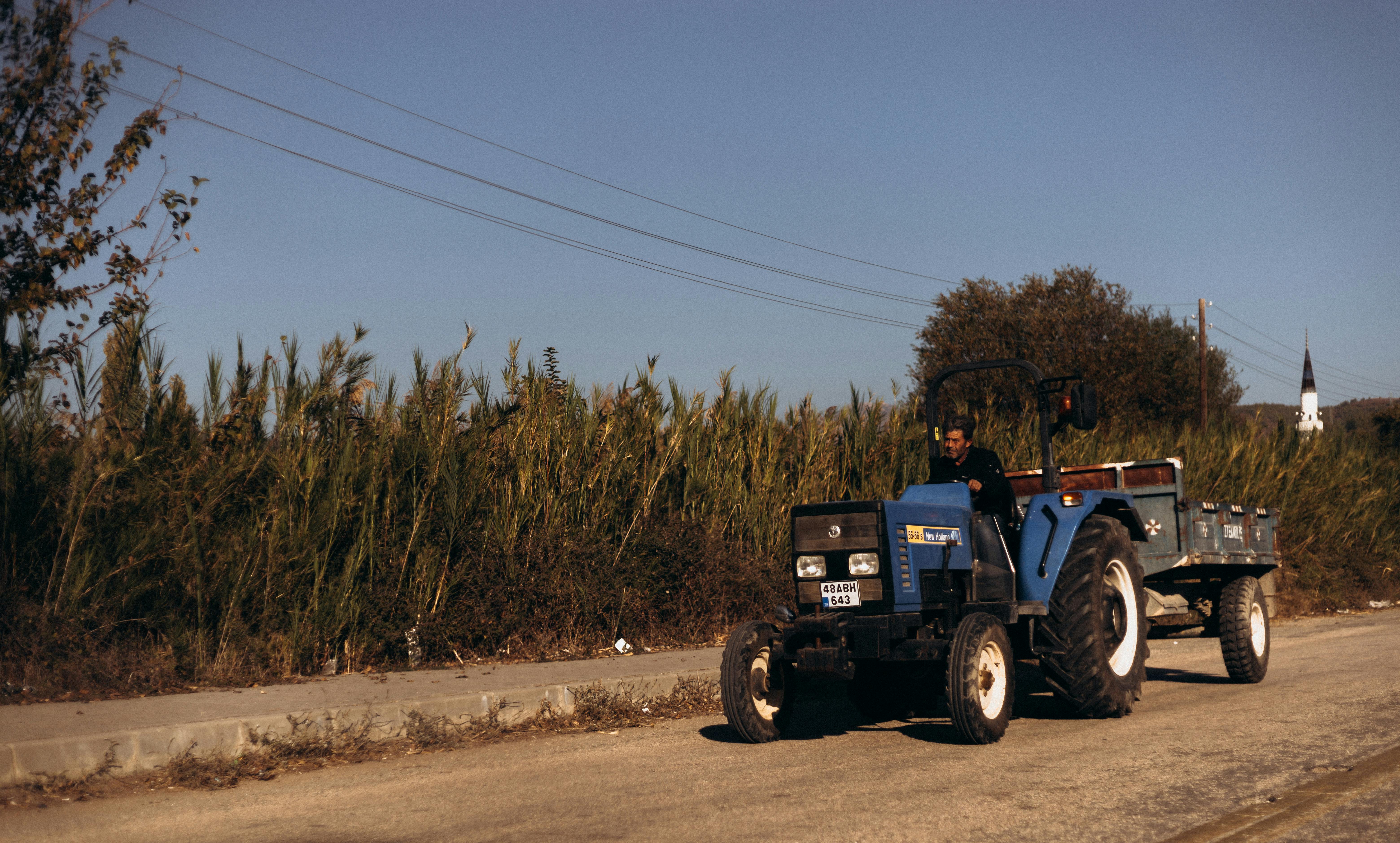 A farmer drives a blue tractor along a rural road beside tall grass on a sunny day.