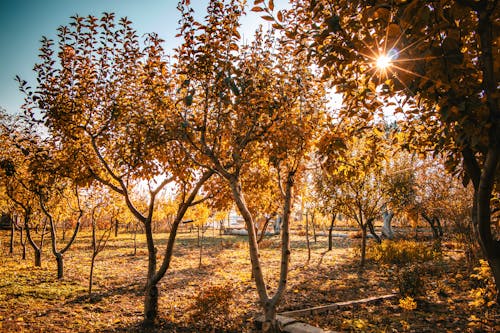 Old Farmer’s Almanac Predicts Warm, Dry Fall for 2025