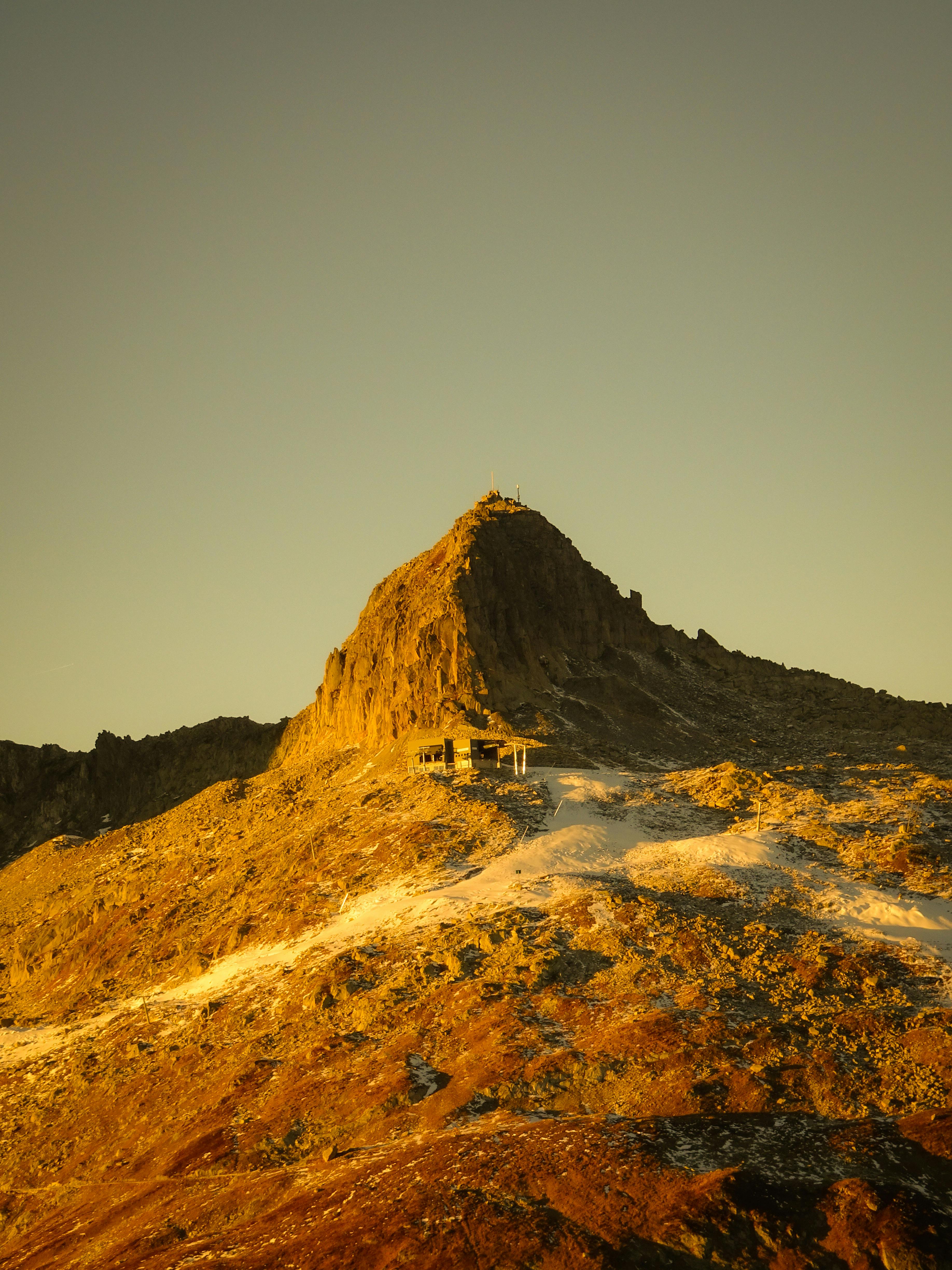 Photos Pieuvre Vintage, 32 000+ Photos De Haute Qualité Gratuites