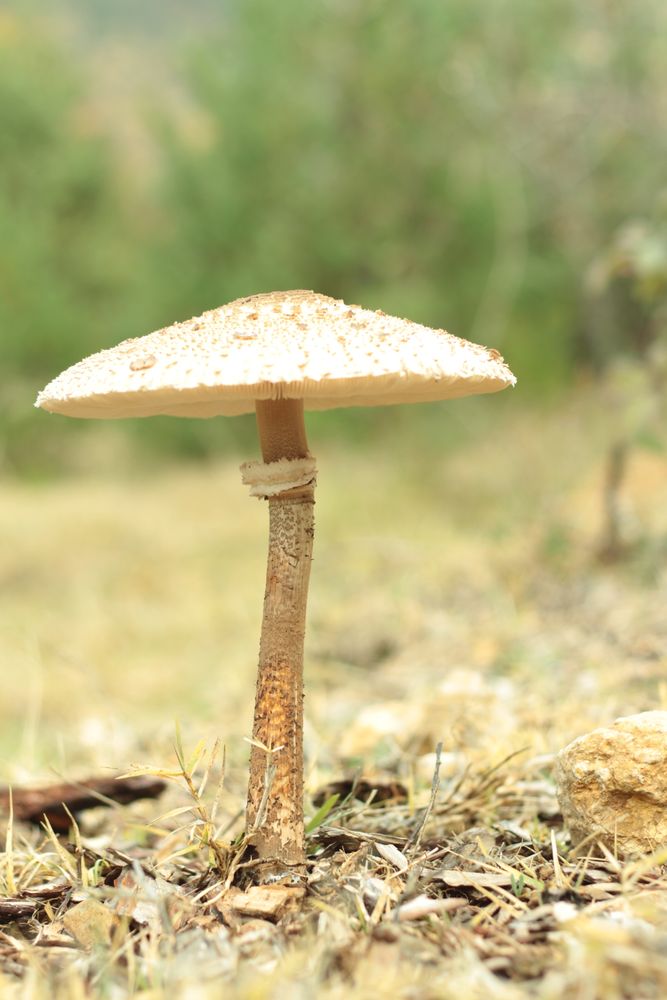 4.000+ melhores imagens de Calafrio · Download 100% grátis · Fotos ...