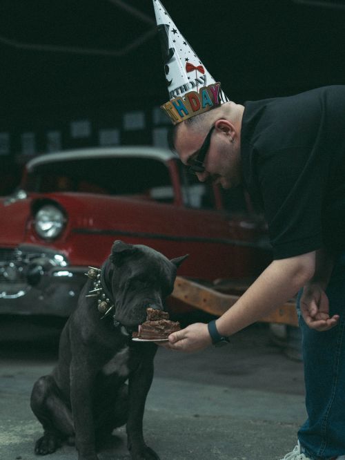 Free A man celebrates a dog's birthday with cake near a vintage car. Stock Photo