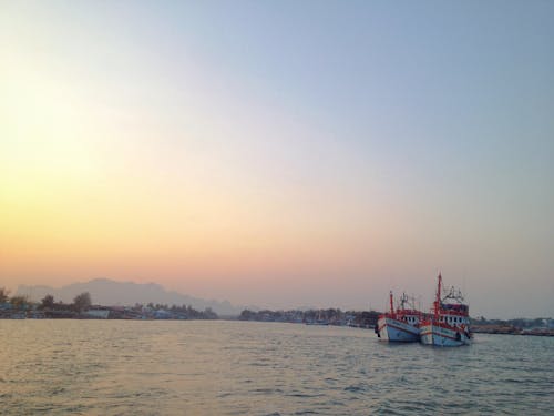 Free stock photo of boat, dawn, fishing